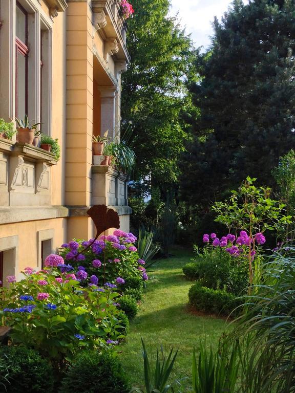 Elbvilla Dresden Exterior foto